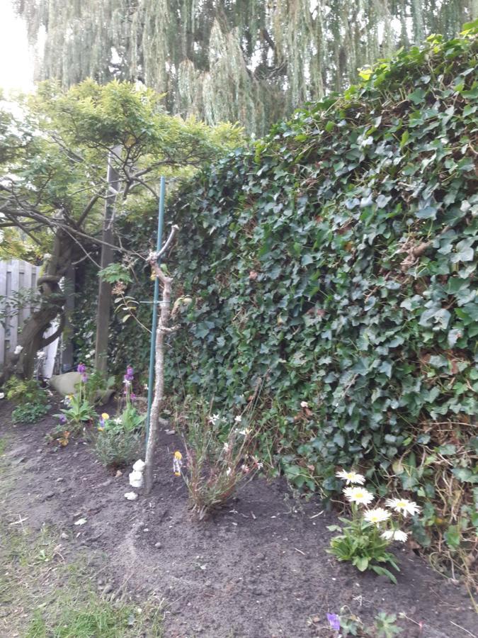 הוילה ברוז' Our Lily House, Een Gezellig Familiehuis In Rustige Omgeving מראה חיצוני תמונה